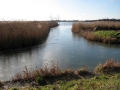 The north-western edge of Hickling Broad, near to Hickling Heath

Picture kindly supplied by Evelyn Simak